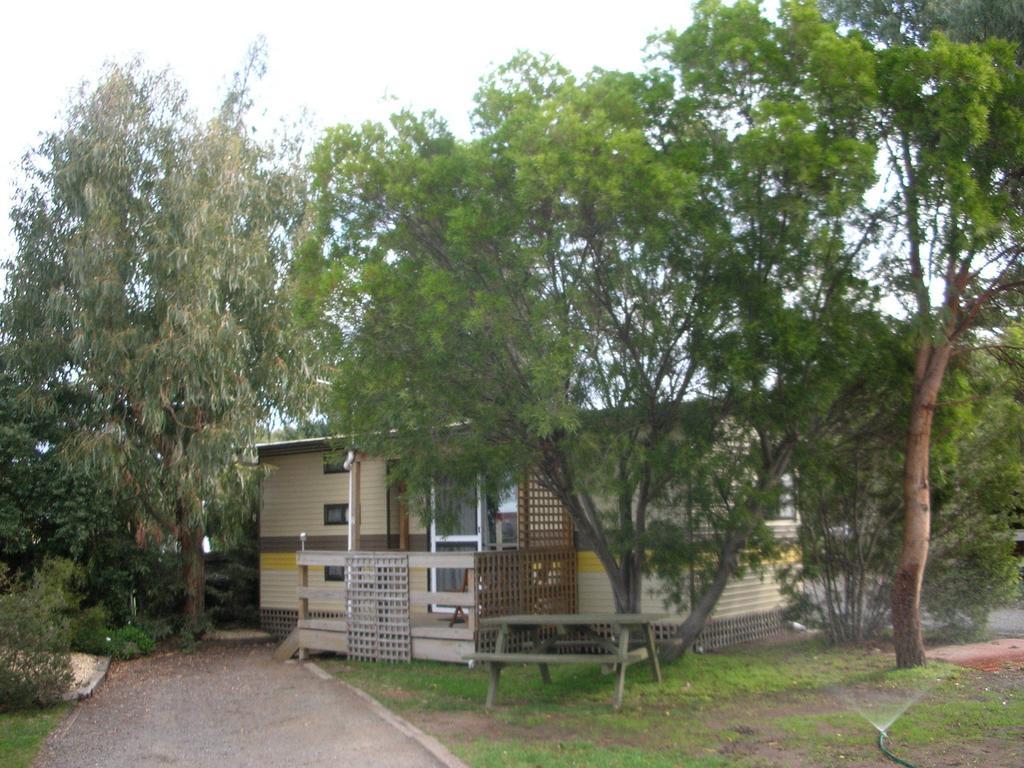 Triabunna Cabin&Caravan Park Rum bild